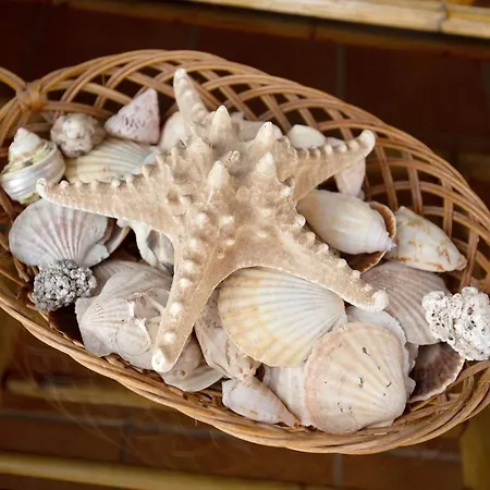 Tatil Evi El Cortijo